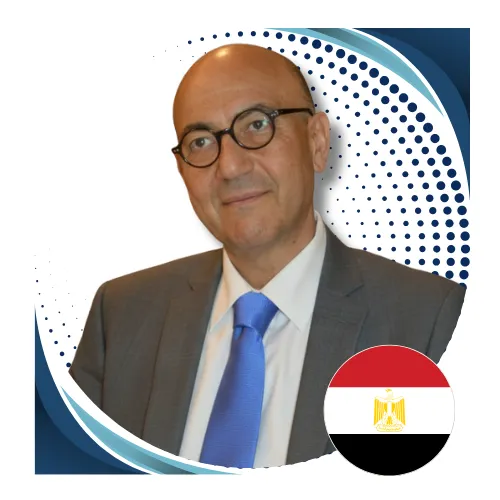 Prof. Mohamed Hosni Eldessoki
